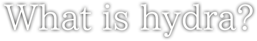 What is hydra?